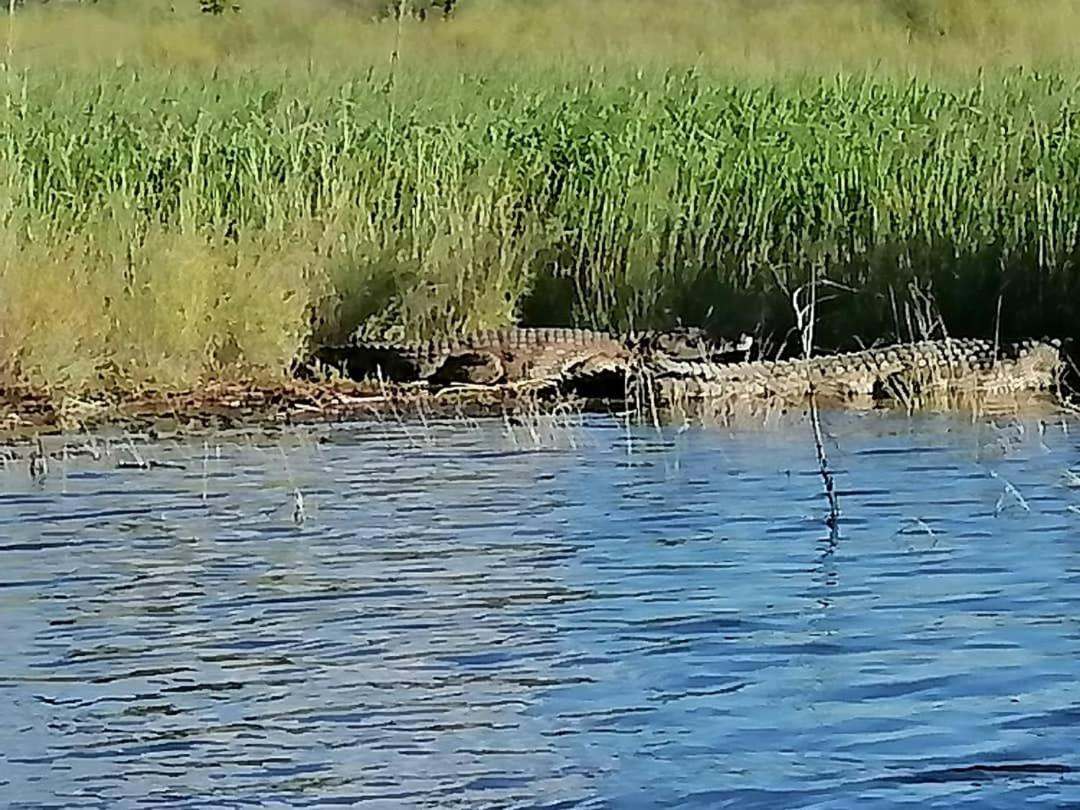 Camp Hogo Kavango Рунду Екстер'єр фото