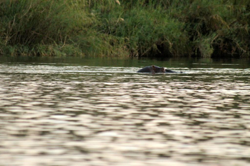 Camp Hogo Kavango Рунду Екстер'єр фото