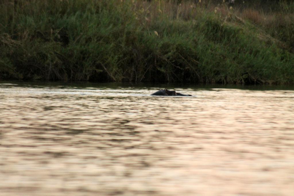 Camp Hogo Kavango Рунду Екстер'єр фото