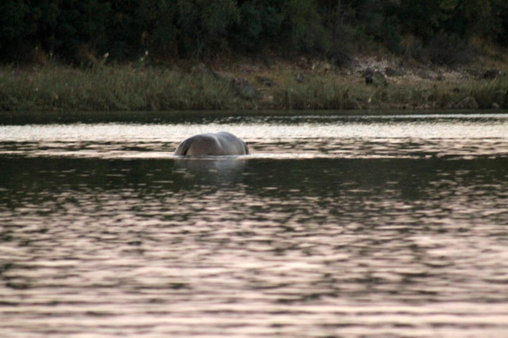 Camp Hogo Kavango Рунду Екстер'єр фото